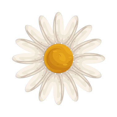 Daisy, masumiyeti ve saflığı sembolize eden beyaz yapraklı ve altın merkezli neşeli bir çiçektir..