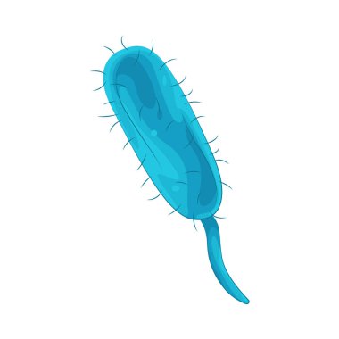 Bakteriler, sağlık, hastalık ve çeşitli biyokimyasal süreçlerdeki rolleri için araştırılan tek hücreli mikroorganizmalardır..