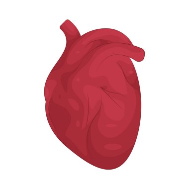 İnsan Kalbi, dokulara oksijen ve besin sağlayan vücuda kan pompalayan bir kas organıdır.