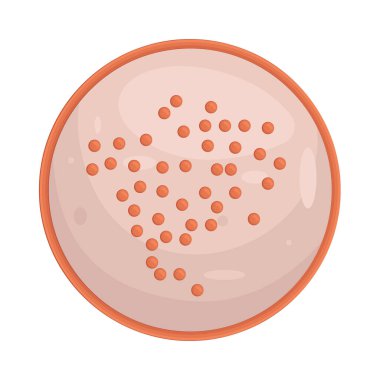 Bakteri Kolonisi, tek bir mikroorganizmadan türetilmiş katı bir ortamda büyüyen görünür bir bakteri kümesidir.