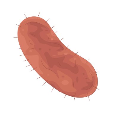 Bakteriler tek hücreli mikroorganizmalardır. Sindirim gibi süreçlerde yararlı ya da enfeksiyona yol açarken zararlı olabilirler.