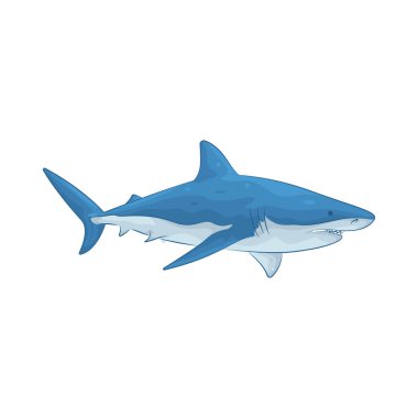 Köpekbalığı güçlü ve görkemli bir yırtıcıdır. Dalgaların altındaki gücü ve zarafetine hayrandır..