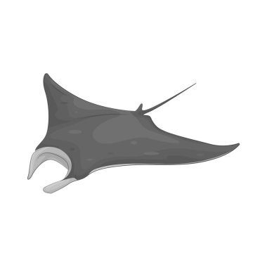 Bir vatoz okyanus tabanında pürüzsüz bir şekilde süzülür. Düz bedeni kumda zarifçe hareket eder..