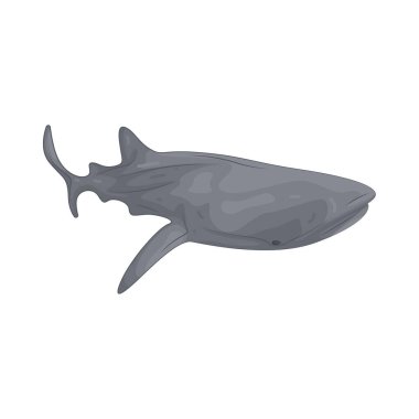 Balina, derin okyanus sularında zarifçe hareket eden ve güçlü bir sesle iletişim kuran büyük, zeki bir deniz memelisidir..