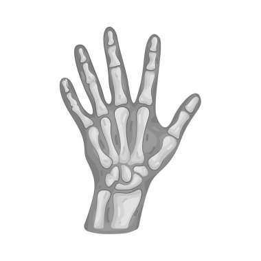 El röntgeni, eldeki kemikleri ve yapıyı göstermek için X-ışını radyasyonu kullanılarak oluşturulan bir görüntüdür..