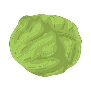 Lahana, sımsıkı sarılmış katmanları ve hafif, gevrek bir tadı olan yapraklı bir sebzedir..