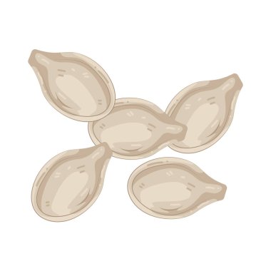 Balkabağı tohumu, kabakların içinde bulunan gevrek ve besleyici bir tohumdur..