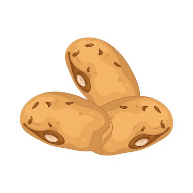 Fasulye, sert dokusu ve hafif tadı ile protein zengini bir baklagildir..