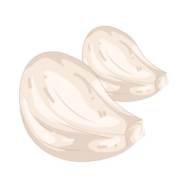 Sarımsak, güçlü aroması ve lezzeti için değerli keskin bir ampuldür.