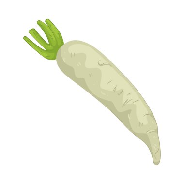 Beyaz turp, çiğ ya da turşu turşusundan sıklıkla hoşlanan yumuşak, gevrek bir sebzedir..