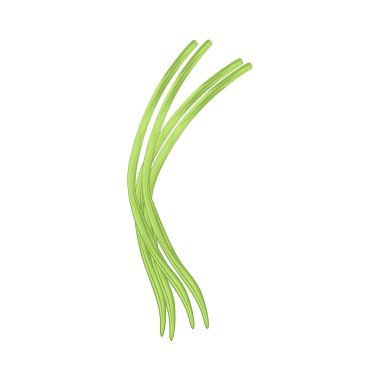 Çin uzun fasulyesi ince, ekstra uzun yeşil fasulyeli gevrek bir dokuya ve topraksı bir tada sahiptir..