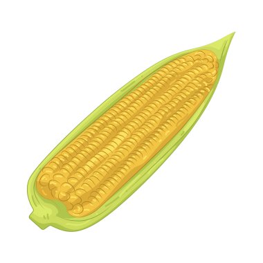 Mısır, parlak sarı çekirdekleri olan tatlı, çiğnenmiş bir sebzedir..