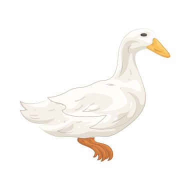 Ördek, yumurta, et ve haşere kontrolü için değerli su seven bir çiftlik kuşudur..