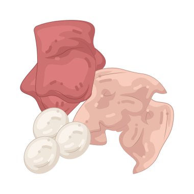 Protein, vücut gücünü desteklerken kasların gelişmesine ve onarılmasına yardımcı olan temel bir besindir..