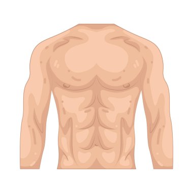 Gövde, insan vücudunun hayati organları barındıran ve uzuvları omurgaya bağlayan merkezidir..