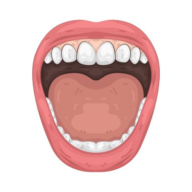 İnsan ağzı yemek, konuşmak ve nefes almak için kullanılan yüzdeki açıklıktır..