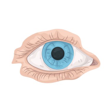 İnsan gözü, ışığı algılayan ve görmemizi sağlayan organdır..