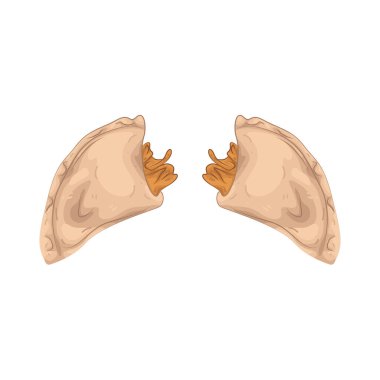 Tavuk böreği, baharatlı tavuk ve fırında ya da kızarmış tavukla dolu bir hamur işidir..