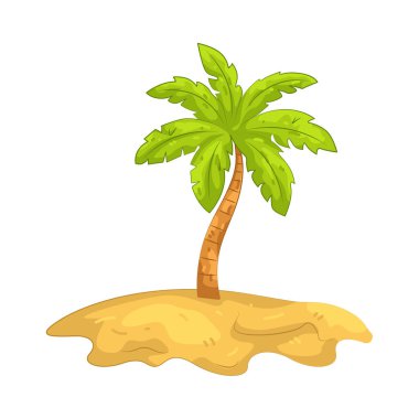 Palmiye ağacı uzun gövdesi ve geniş yaprakları olan tropikal bir ağaçtır ve genellikle plajlar boyunca bulunur..