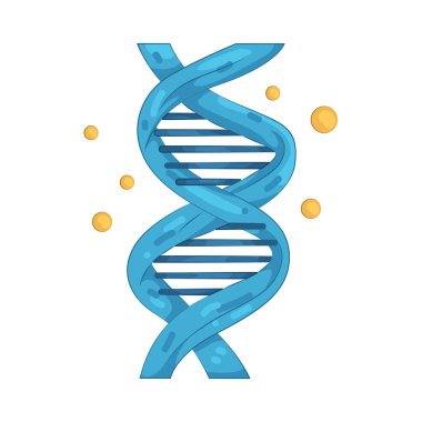 DNA, büyüme, gelişme ve tıbbi araştırma için gerekli genetik bilgiyi taşır..