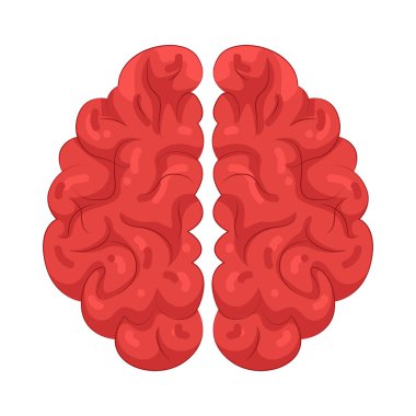 İnsan beyni düşünceleri, hafızayı, duyguları ve vücut fonksiyonlarını kontrol eden merkezi bir organdır..