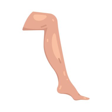 Bacak, vücut ağırlığını destekleyen ve hareketi sağlayan bir alt uzuvdur..