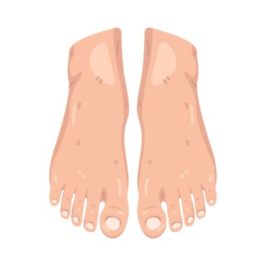 Ayak, ayakta durmayı ve yürümeyi destekleyen vücut parçasıdır..