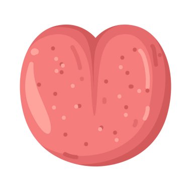 Dil tat, konuşma ve yutma için kullanılan kaslı bir organdır..