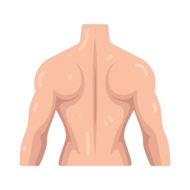 Gövdenin arkası duruşu ve hareketi destekleyen arka kısmıdır..