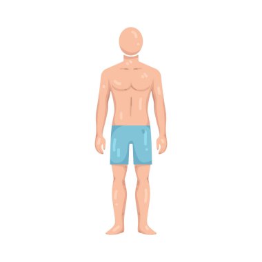 Erkek vücudu, yetişkin erkek insan formunun anatomik yapısını temsil eder..