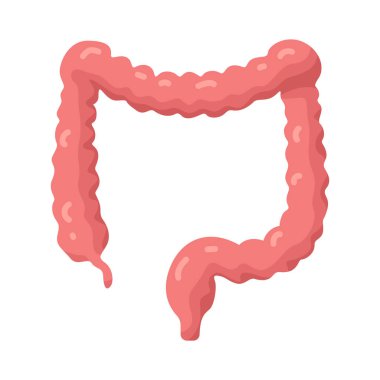 Bağırsaklar, besinlerin emiliminden ve atıkların işlenmesinden sorumlu olan sindirim organlarıdır..