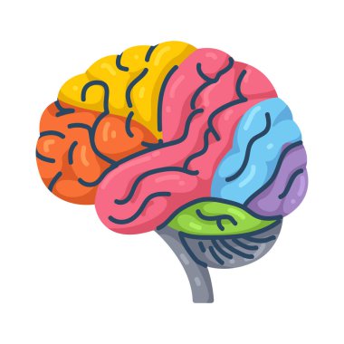 Gökkuşağı beyni çeşitli, renkli ve yaratıcı düşünceleri sembolize eder..