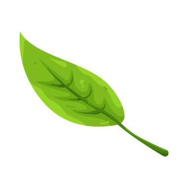 Bir yaprak yaşamı, büyümeyi ve fotosentezin doğal sürecini temsil eder..