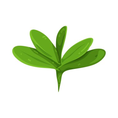 Bir yaprak yaşamı, büyümeyi ve fotosentezin doğal sürecini temsil eder..