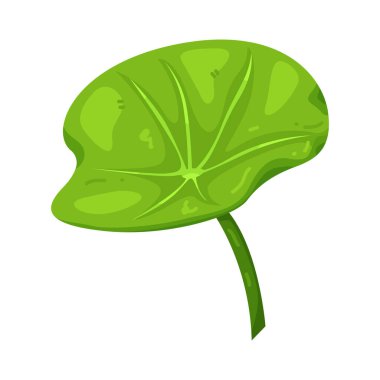 Bir nilüfer yaprağı saflığı, dengeyi ve ruhsal büyümeyi simgeler..