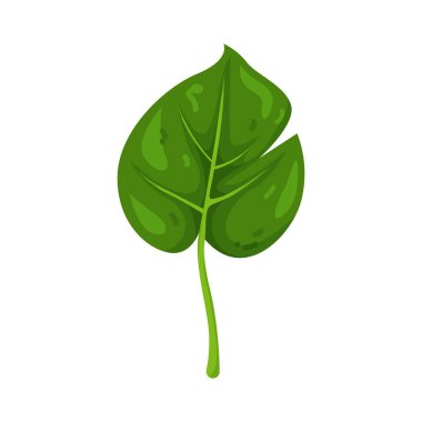 Kalp şeklindeki yapraklar sevgiyi, ilgiyi ve doğayla duygusal bağı sembolize eder..