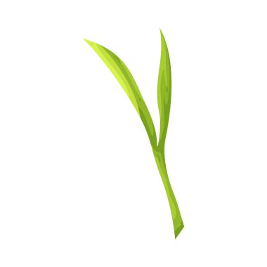 Çay yaprakları doğayı, sağlığı ve geleneksel bitki kullanımını sembolize eder..