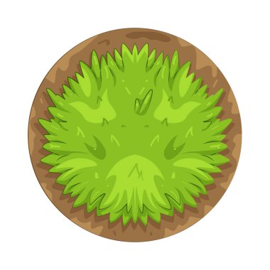 Bir çalı yoğun bitki örtüsünü ve otlak alanlarda doğal barınağı temsil eder..