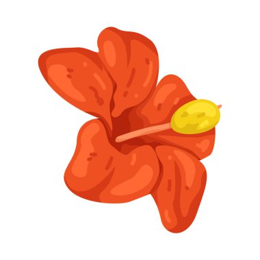 Portakal çiçeği tropikal ve cesur hisseder, sıcaklık ve neşe saçar..