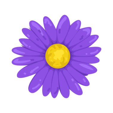 Mor bir papatya neşeyle gizemi birleştirir, cesur ama dost canlısı bir görünüm sunar..