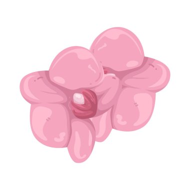 Kiraz çiçekleri güzelliği ve yenilenmeyi temsil eder. İlkbahar rüyalarının yaprakları gibi yavaşça düşer..