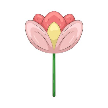 Pembe çiçek tatlılığı, hayranlığı ve neşeyi sembolize eder..