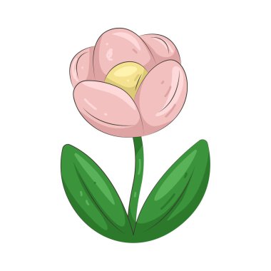 Pembe lale sevgiyi, zarafeti ve nazik güzelliği simgeler..