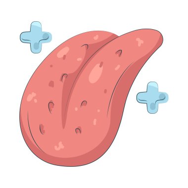 İnsan dili tatmaya, yutmaya ve konuşmaya izin verir..