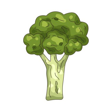 Brokoli buharda, kaynatmada ya da kızartmada kullanılan yeşil bir sebzedir..