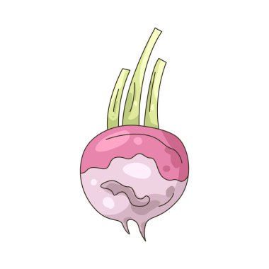 Şalgam, turpgiller (Felidae) familyasından bir bitki türü..