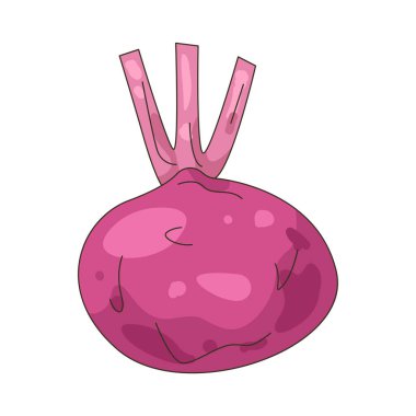 Pancar kökü, salata ve meyve sularında kullanılan koyu kırmızı renkli bir sebzedir..