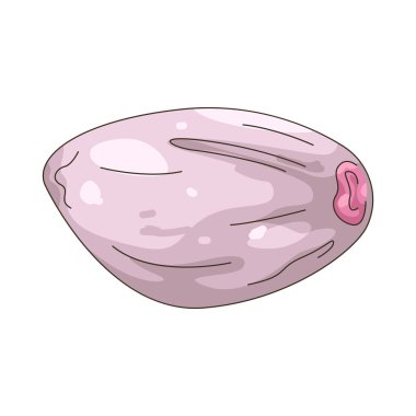 Sarımsak, pek çok yemekte tat olarak kullanılan keskin bir ampuldür..