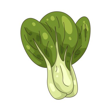 Bok choy, kızartma ve çorbalarda kullanılan yeşil yapraklı bir sebzedir..