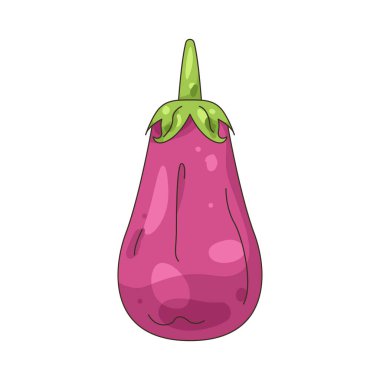 Patlıcan yumuşak dokusu için pişirmede kullanılan mor bir sebzedir..